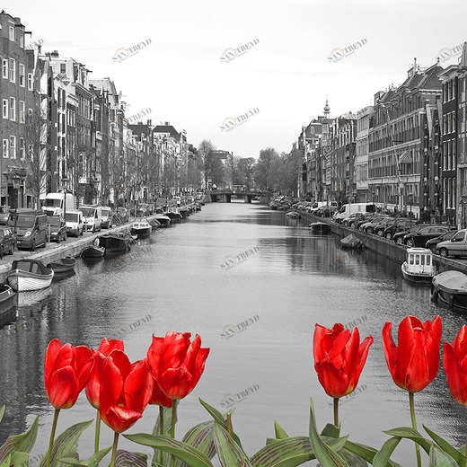 D1-090 Фотообои DIVINO Collection D 2.7х м D1090