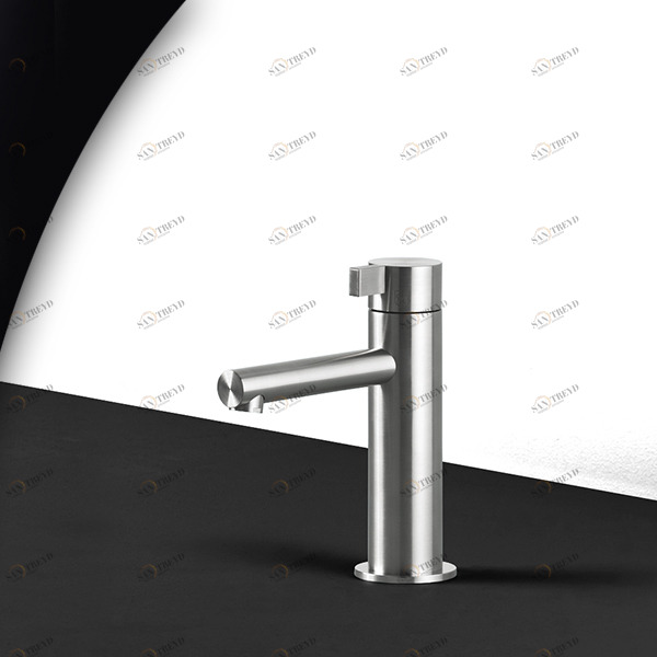 Смеситель для раковины TOOX TXQ1S серебристый матовый Radomonte