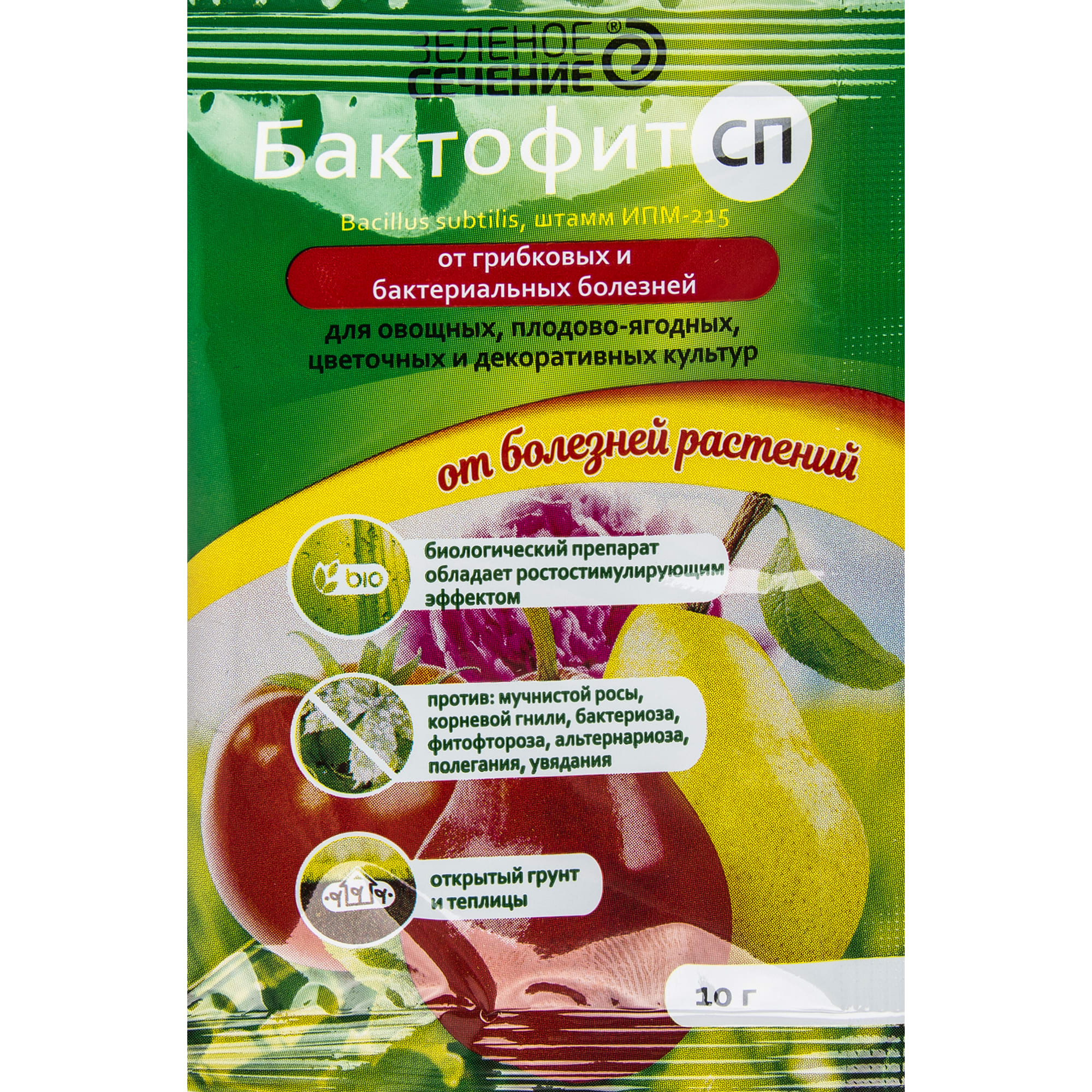 15163451 Средство для защиты растений от болезней «Бактофит СП» 10 г Santreyd 