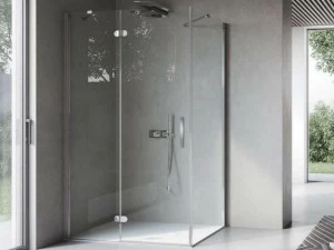 DISENIA Душевая кабина в нише с распашной дверцей и неподвижной стороной Flipper Flpo+flfi