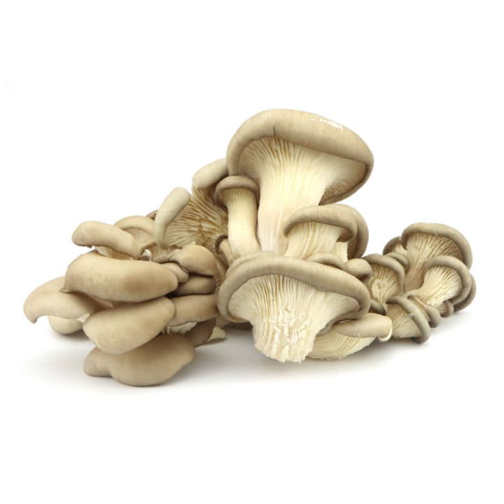 Грибы Вешенки Santreyd 8643 - Вид №1