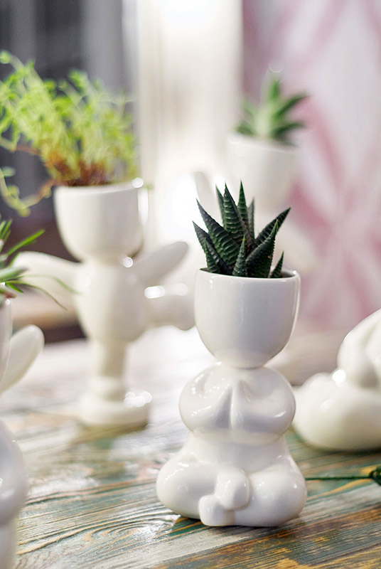 Набор для выращивания eco "Йог" ЭКОЧЕЛОВЕКИ  254571 Белый  - Вид №2