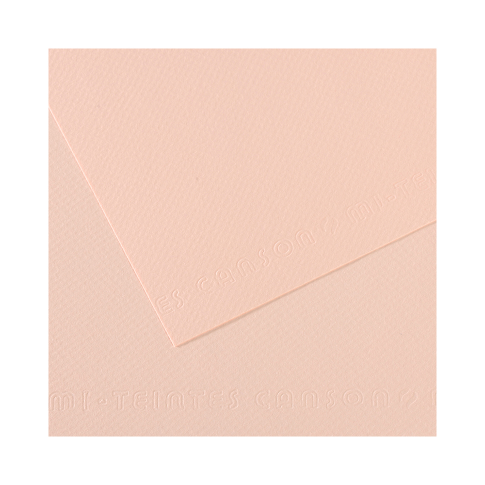 200321314 Бумага для пастели Mi-Teintes 160 г/м2 50 х 65 см лист №103 розовый Canson 