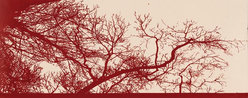 Tecnografica Огнестойкие обои с цифровой печатью и цветочными мотивами Collezioni d'arte 56096 - Вид №1