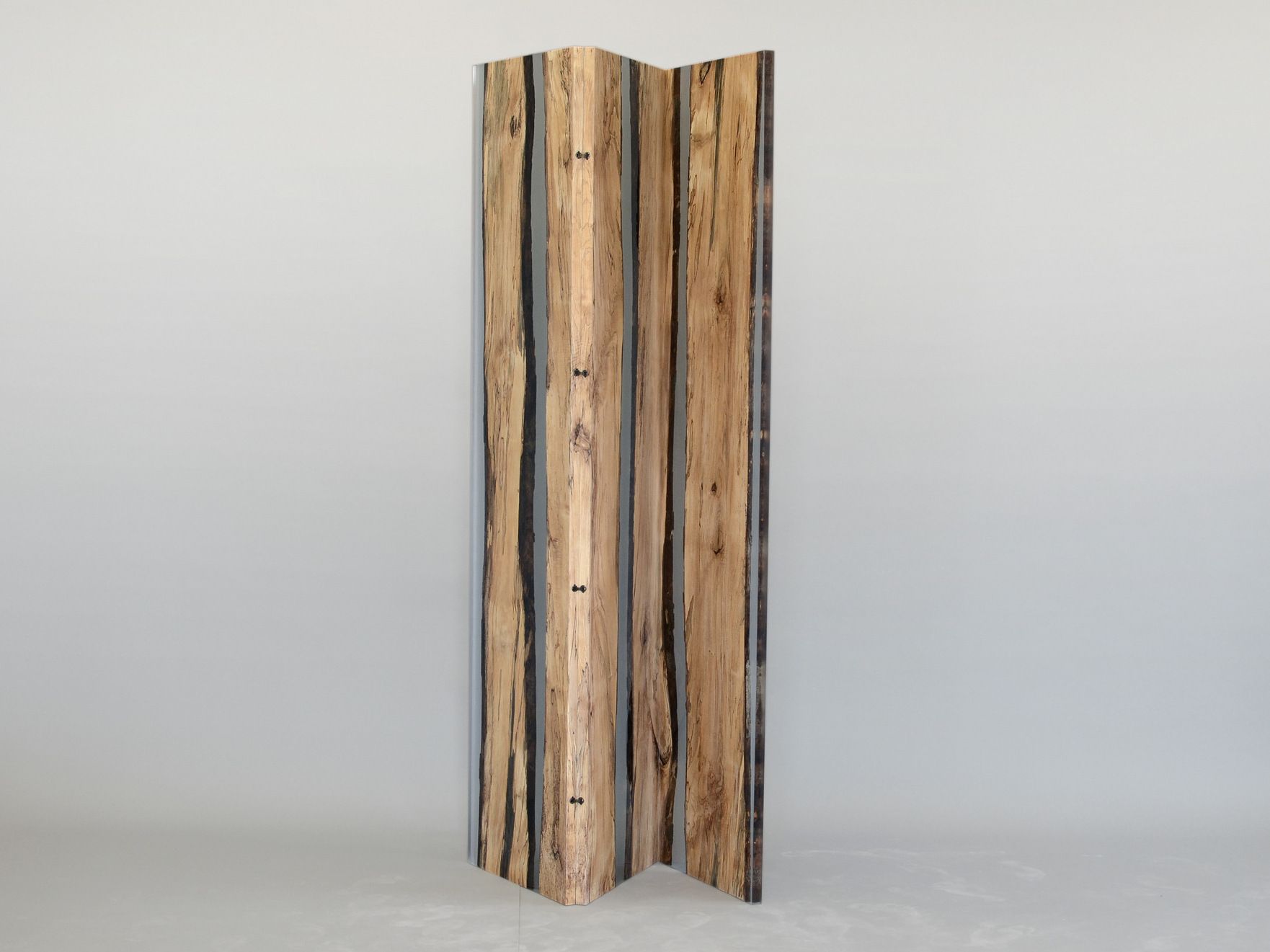 Ширма alcarol Fungi ARCH-00070950 - Вид №1