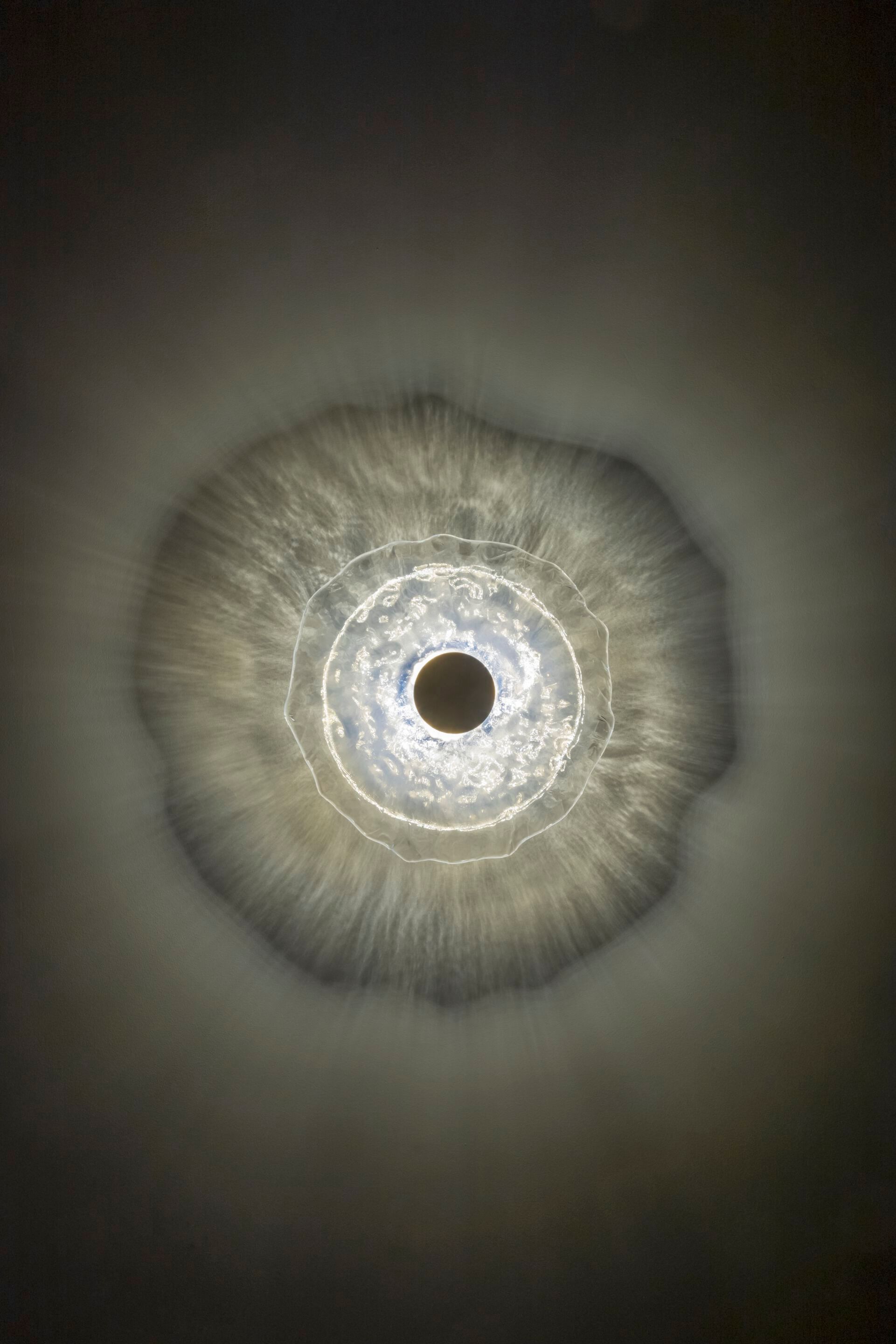 Настенный светильник / стеклянный потолочный светильник Patrizia Volpato Nebula ARCH-00069375 - Вид №3