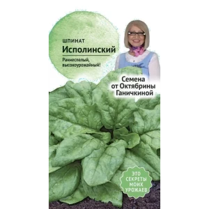 Семена Шпинат «Исполинский»