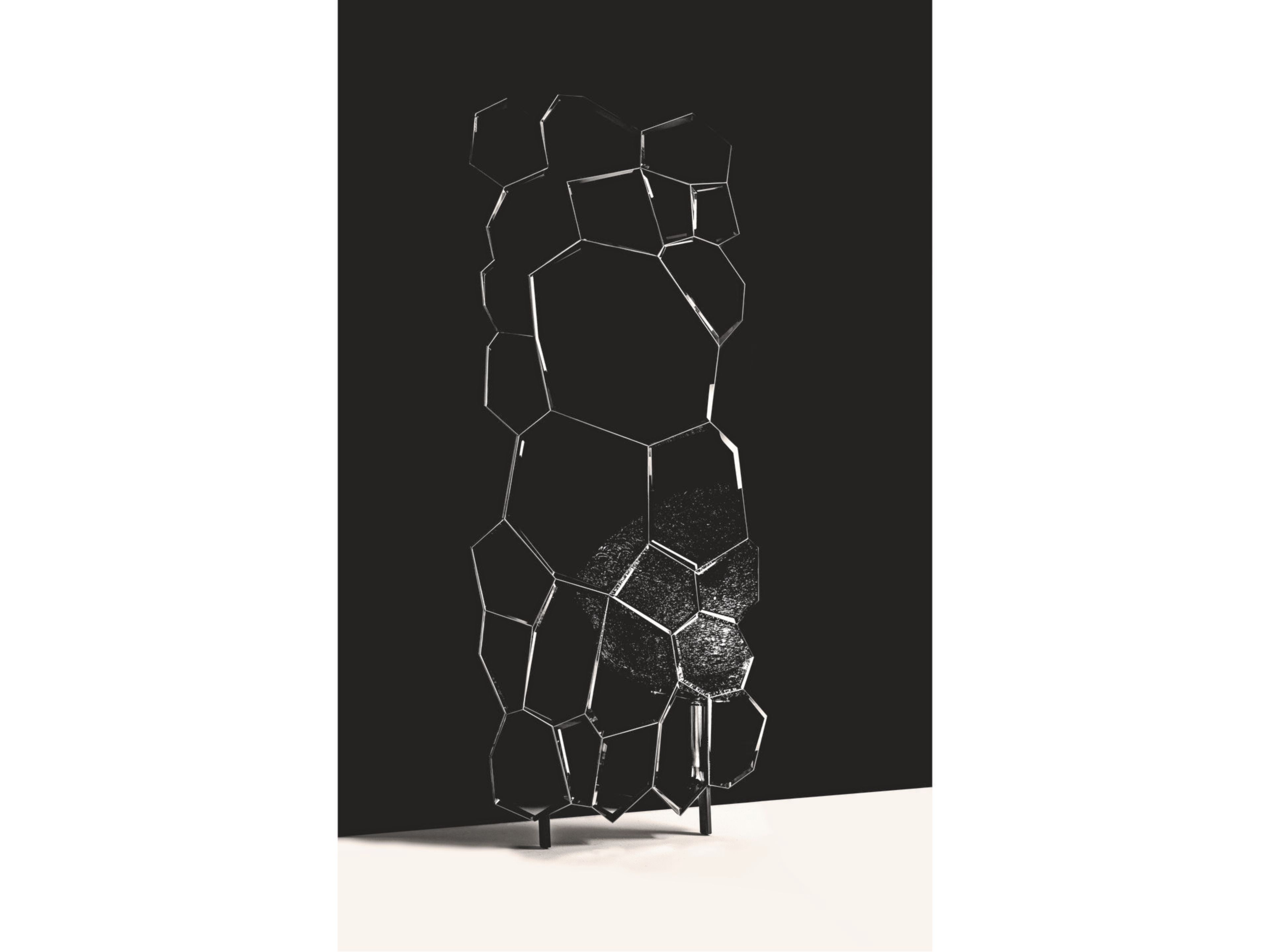 Зеркало Edra для интерьера ARCH-00105693