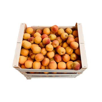 Абрикосы Шалах самолетом в ящике ~8 кг Santreyd 19499