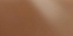 Декор брикс полированная 1200x600