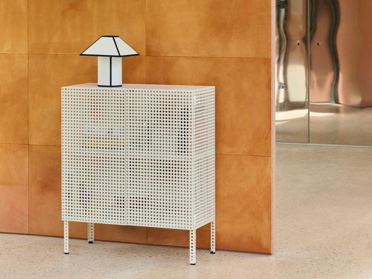 Стальной шкаф с порошковым покрытием с распашными дверцами Hay перфорированный шкаф ARCH-00140639 - Вид №39