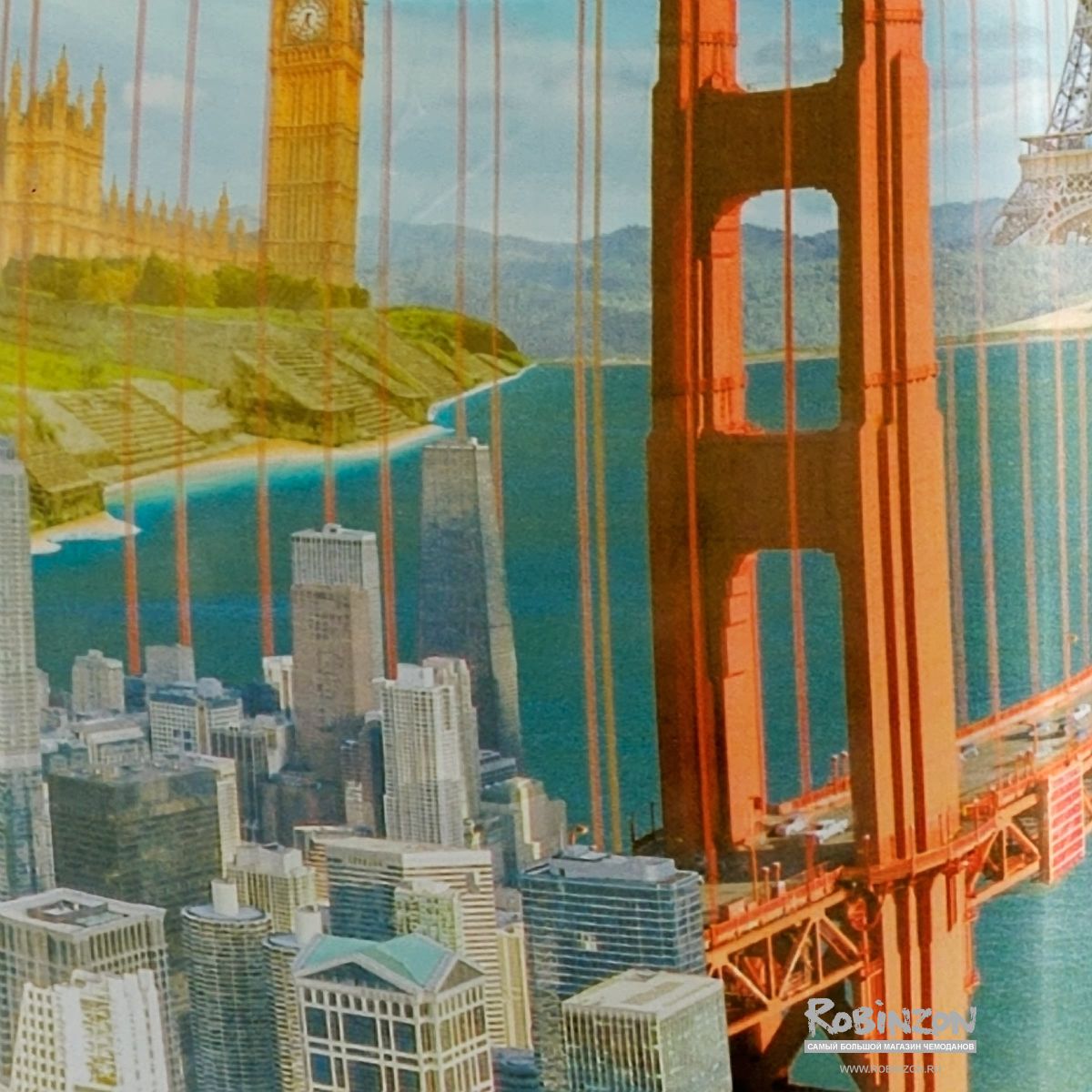 SP240 Citizen-S Чехол для чемодана малый Citizen S Routemark SP240  - Вид №2