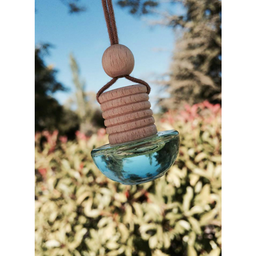 MK007LEAMGB Диффузор для автомобиля , animikauto, dream catcher, 6 мл Ambientair  - Вид №1