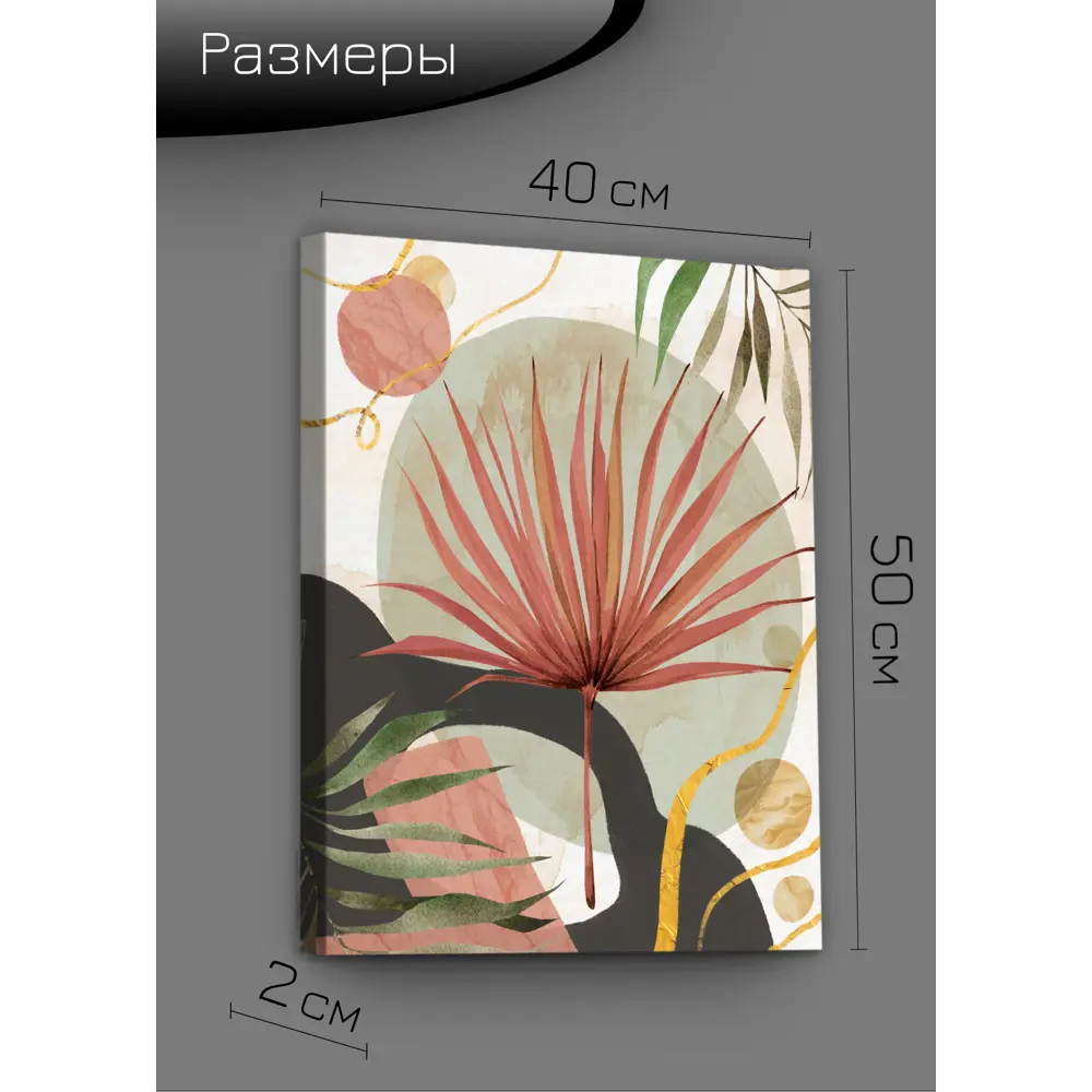 Картина на холсте Ботаника Бохо 3 40x50 см FBRUSH STLM-2138875 - Вид №8