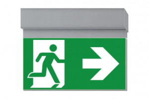 DST-1850 Ikus 2211-t Daisalux Светильники сигнальные Серебристо-Серый