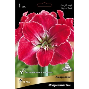 Амариллис простой Мэджикал Тач 89452261 STLM-2020271