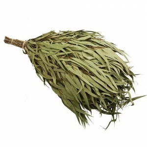 Эвкалиптовый веник для бани