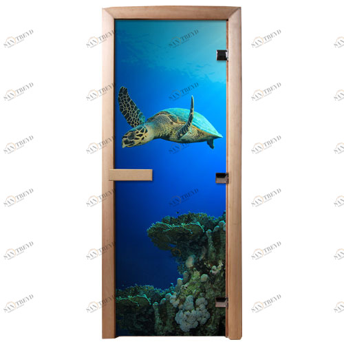 DoorWood Дверь с фотопечатью А086 5570