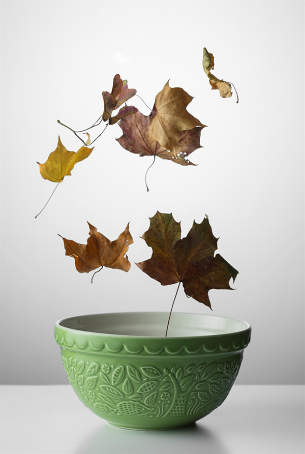 Миска для смешивания In the Forest 21 см зеленая Mason Cash 2001333 - Вид №2