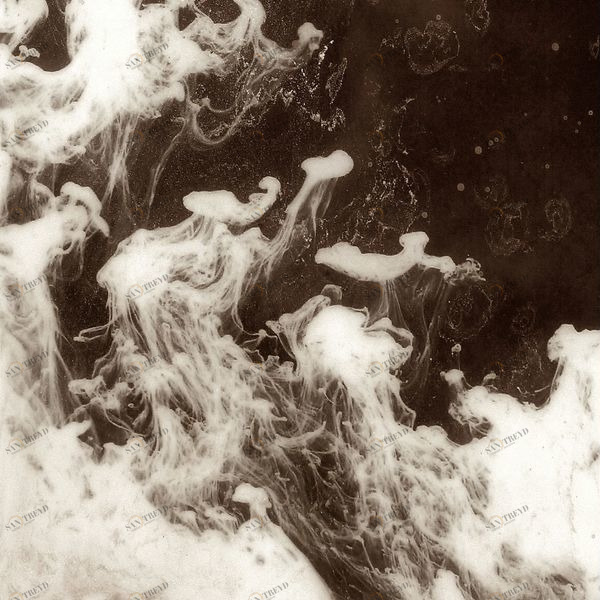 Арт-панель на холсте Alex Turco Liquid Dreams Brown Souls BROWNSOULS