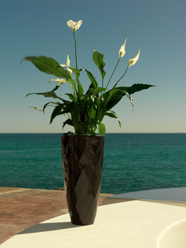 073135 Кашпо Nano матовое антрацит 36см Vondom Vases - Вид №2