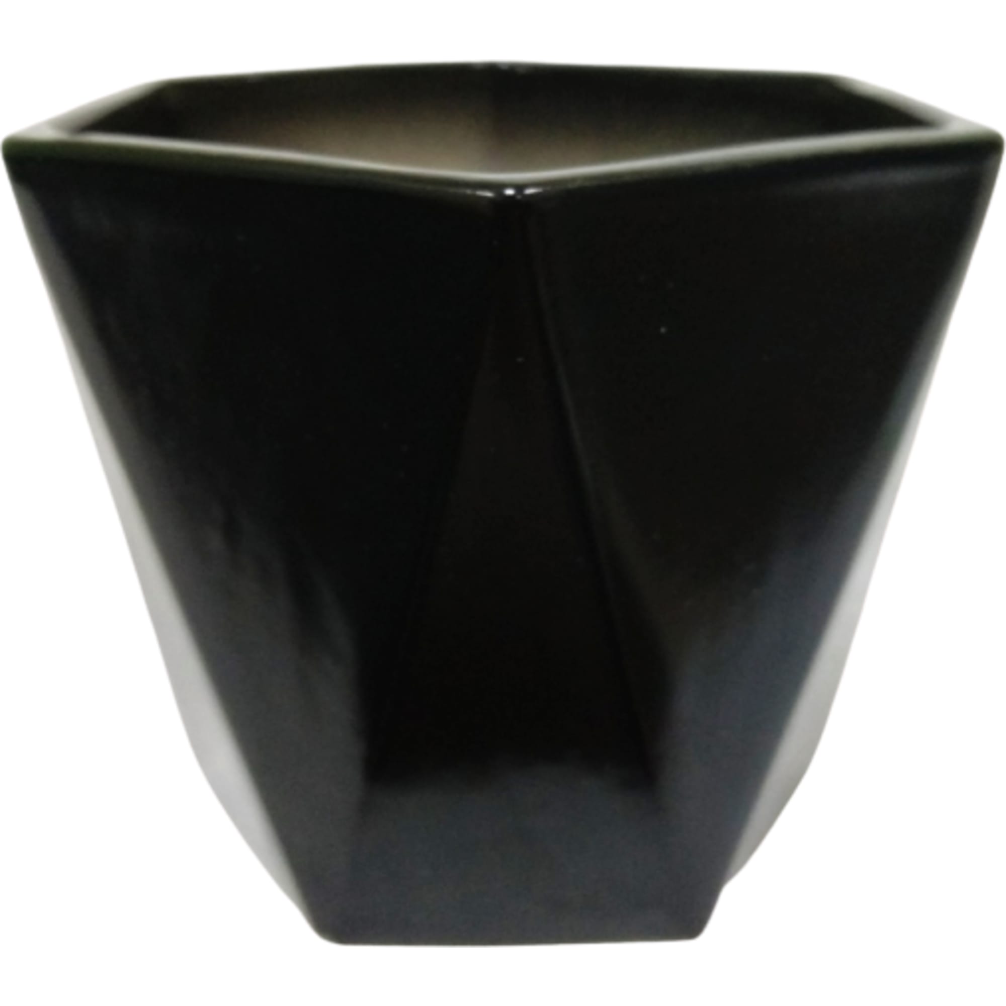 83104752 9x10x9 см v0.49 л керамика чёрный Кактусник Santreyd  - Вид №1