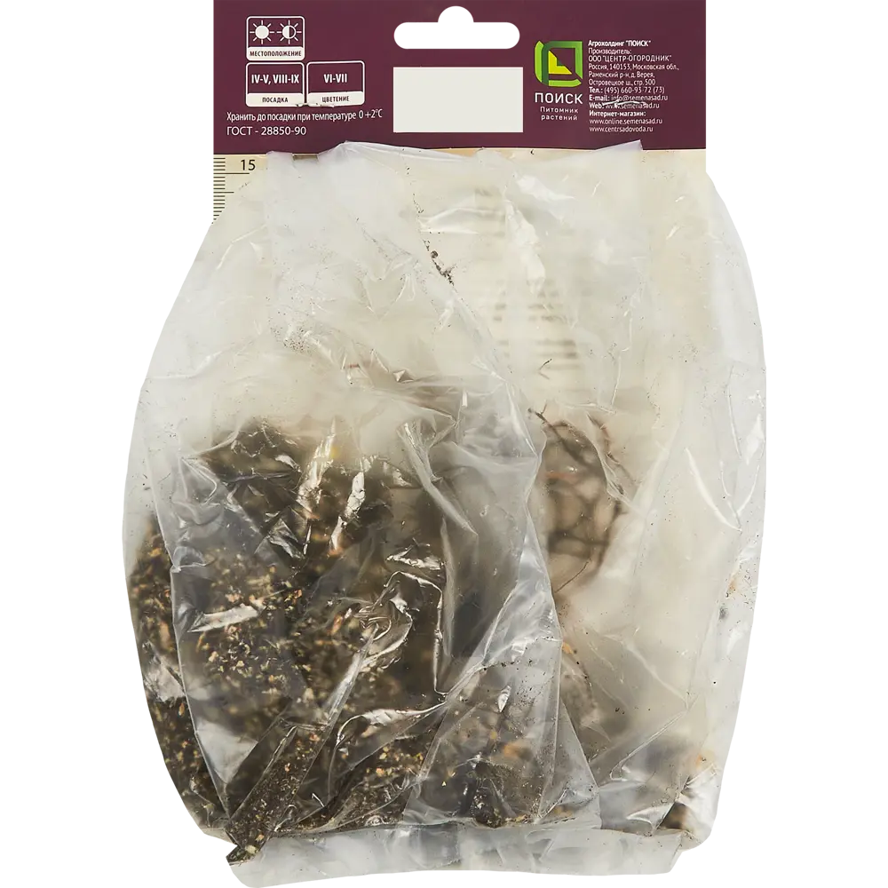 Ирис бородатый Принц Ов Бургунди ПОИСК STLM-2092356 - Вид №1