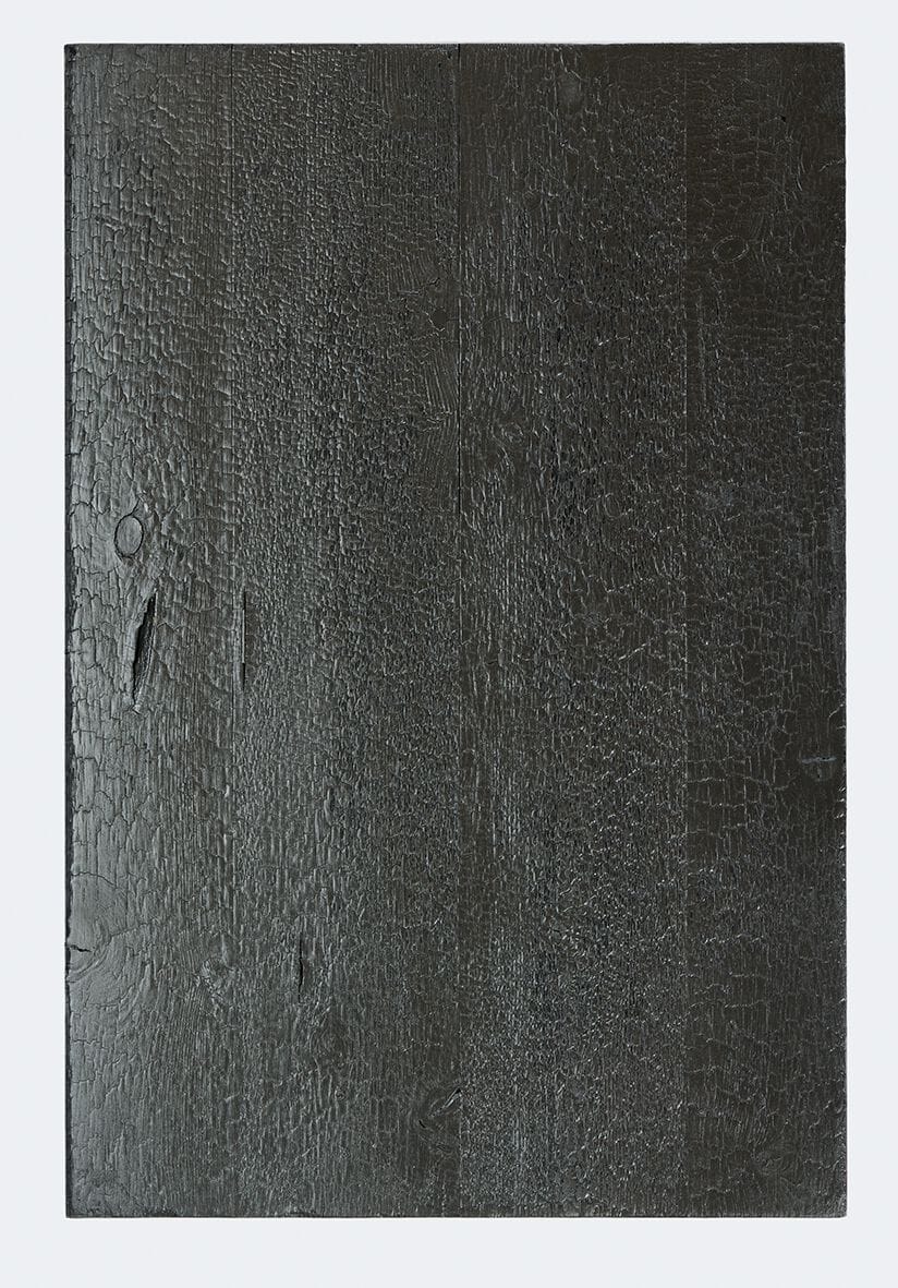 Внутренняя отделка лиственницей Sapiens ARDES ARCH-00136046 - Вид №34