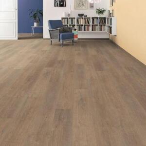 Ламинат Haro Дуб Ливорно Дымчатый