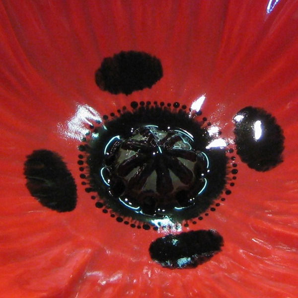 48658 Накладная раковина на столешницу  овальная Clark Made  - Вид №2