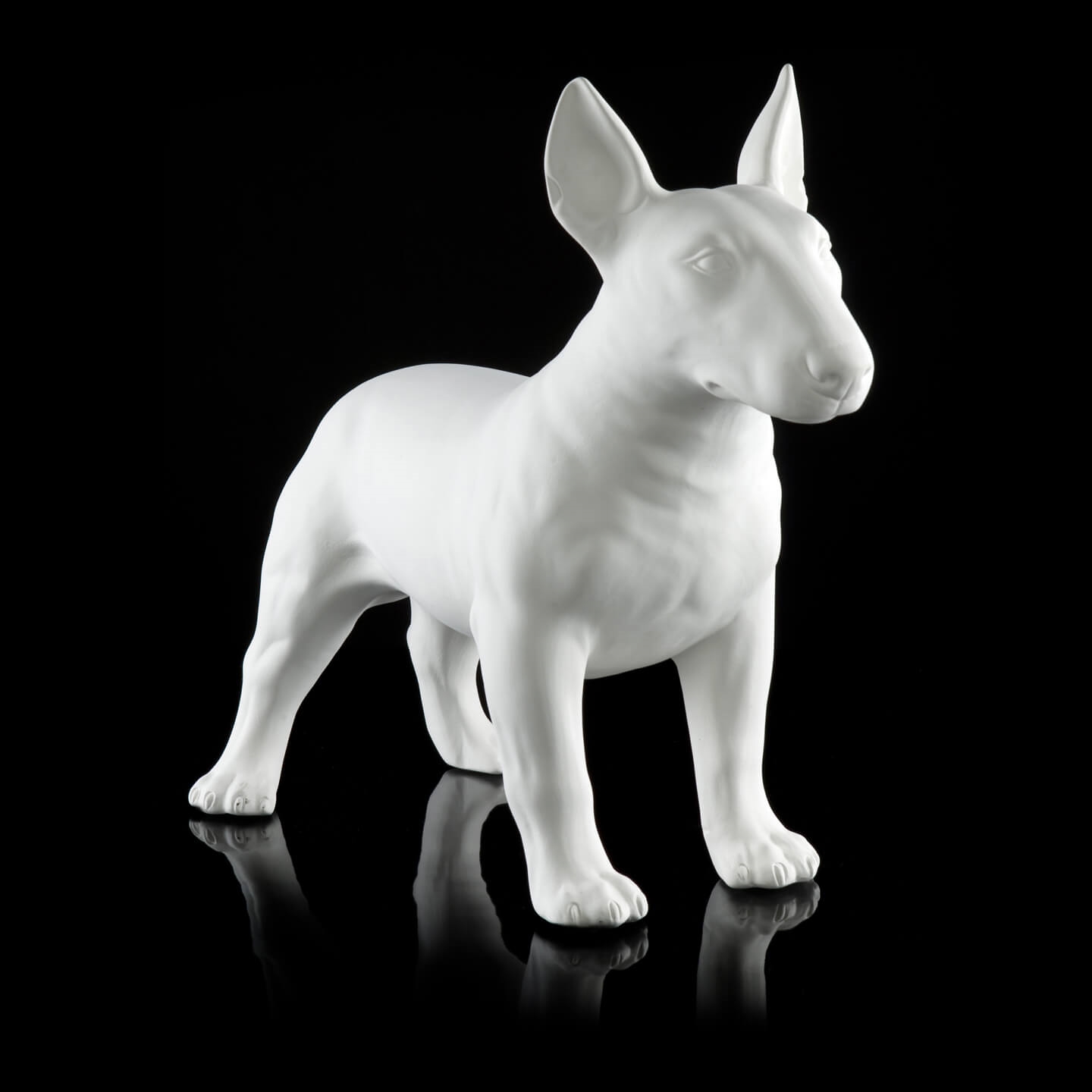 600205-BT ABHIKA БУЛЛЬ-ТЕРЬЕР БИСК. BLACK MAT  - Вид №1