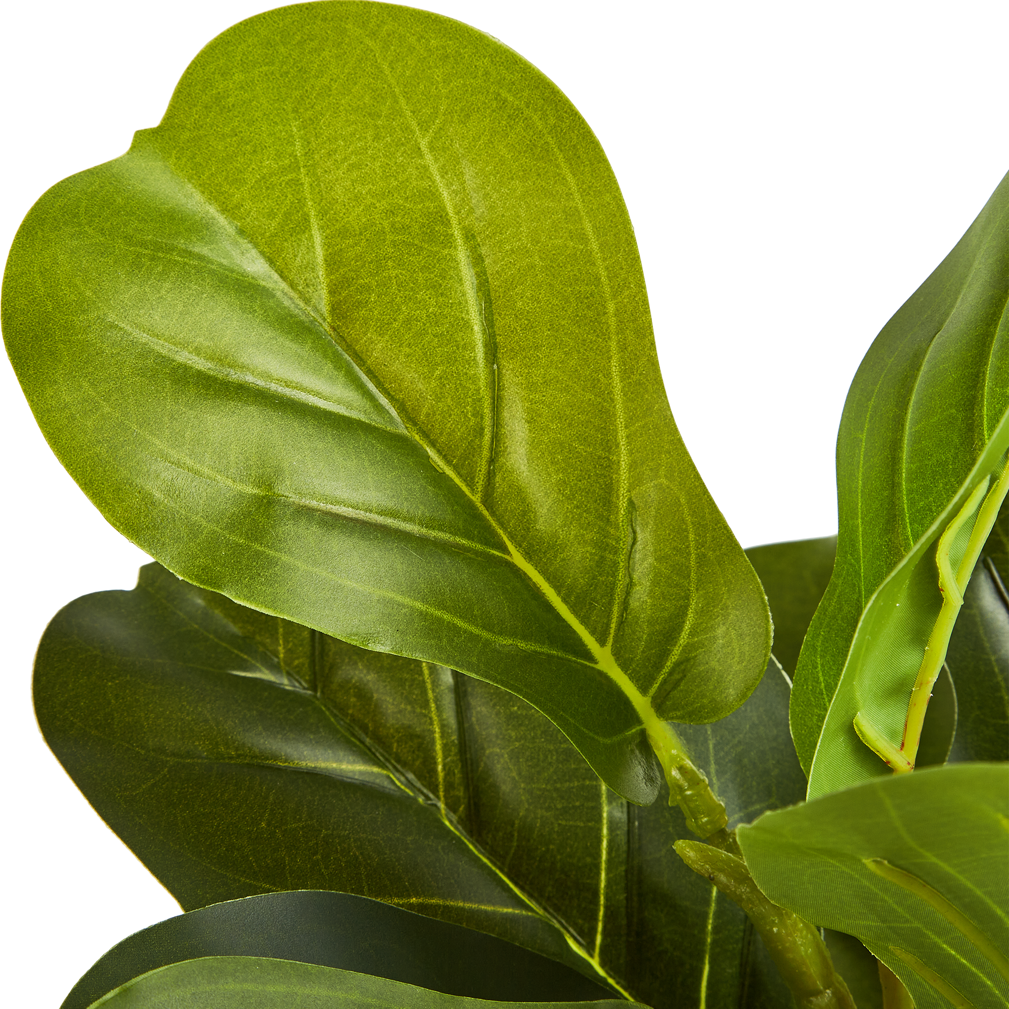 87681880 Искусственное растение Фикус 70x14.5 см пластик STLM-0074890 Santreyd  - Вид №4