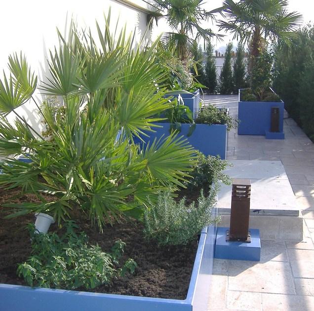 IMAGE'IN Комбинированная сеялка sun-id-1411471 - Вид №6