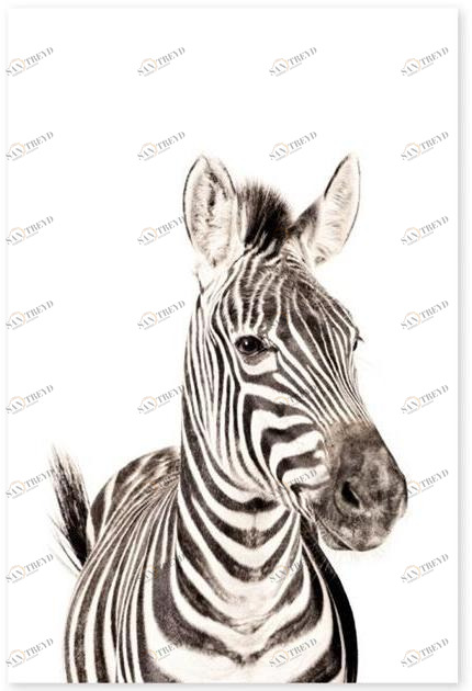 Groovy Magnets Магнитный плакат Animal Pos-62-z