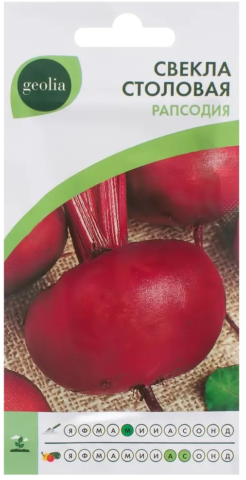 Семена свеклы Geolia Рапсодия — ранний урожай для кулинарных шедевров 17585025