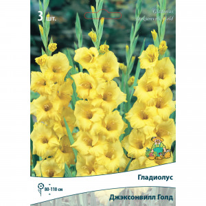 83596662 Гладиолус крупноцветковый Джэксонвилл Голд луковица 10/12