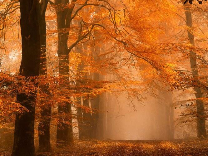 Architects Paper Обои с цифровой печатью с пейзажами Ap digital iv 109255 - Вид №1