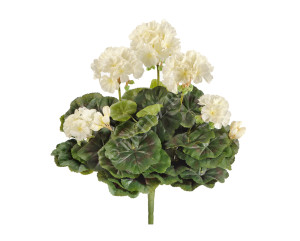 20.1089CR Герань кремовая цветущий куст Цветочная коллекция