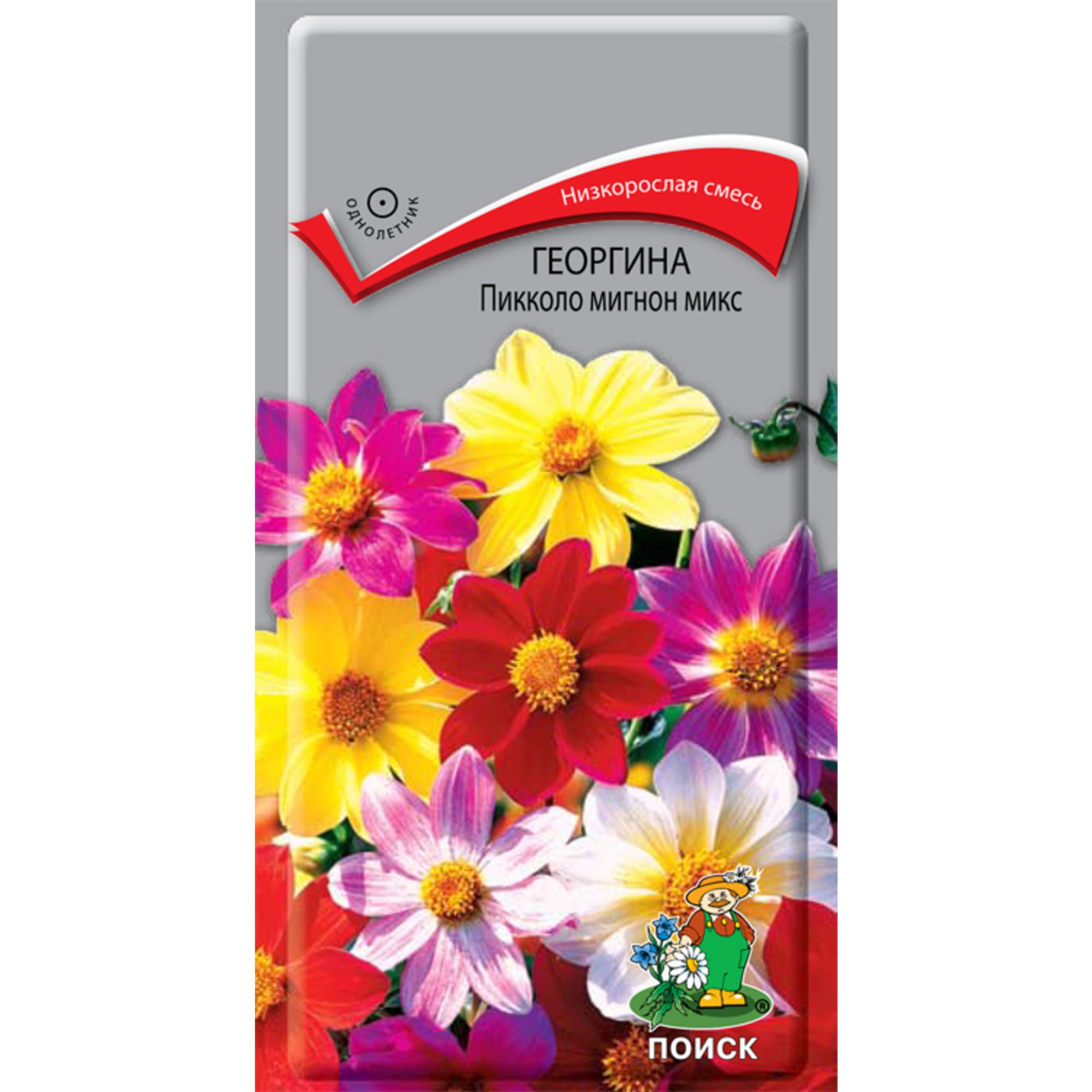 83227382 Семена Георгина «Пикколо Мигнон Микс» Santreyd 