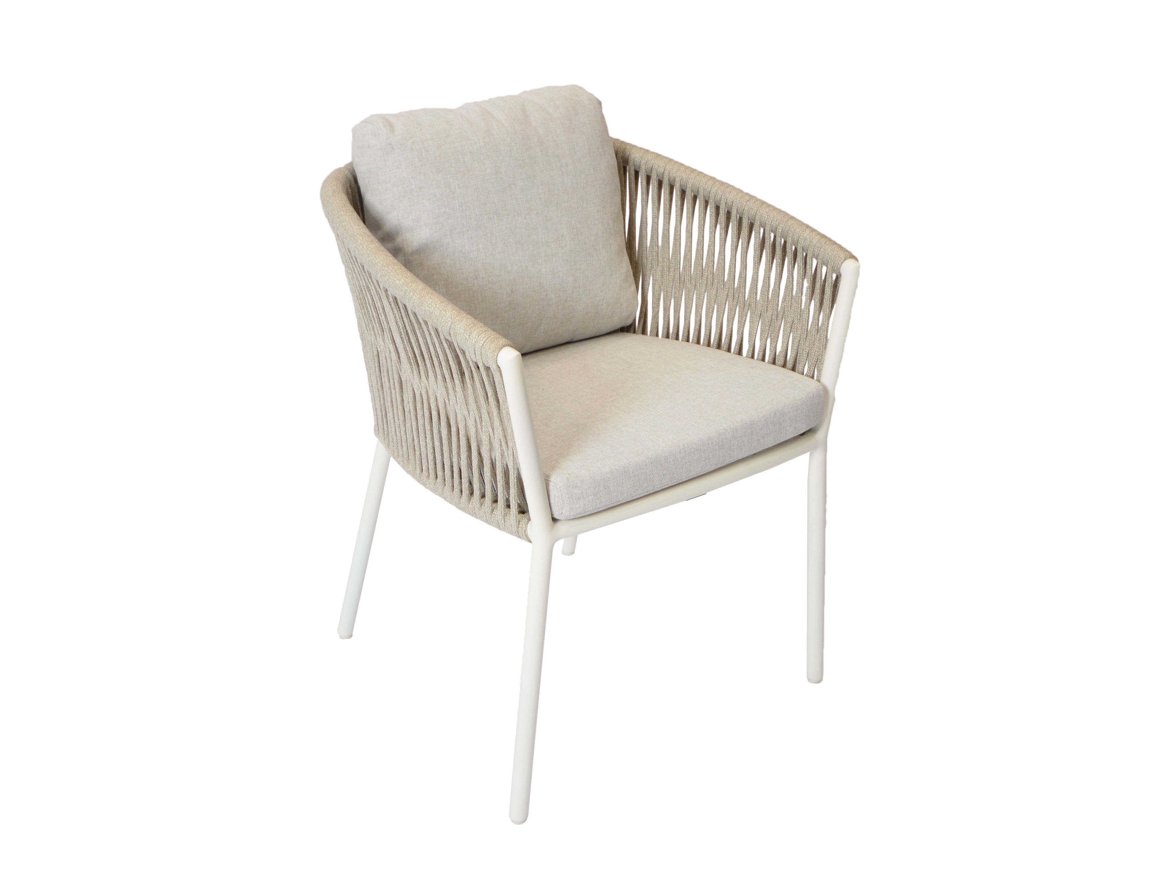 Садовый стул с подлокотниками FISCHER MÖBEL Cosmo Dining ARCH-00084489 - Вид №1