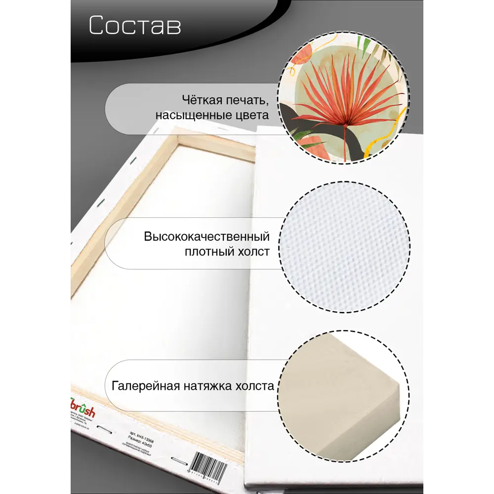 Картина на холсте Ботаника Бохо 3 40x50 см FBRUSH STLM-2138875 - Вид №10