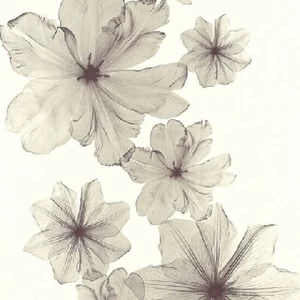 34272-2 Обои A.S. Creation X-Ray