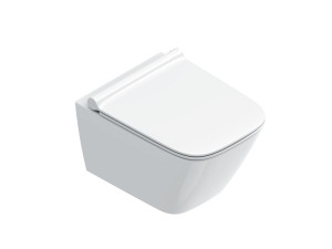 Подвесной туалет без бриды