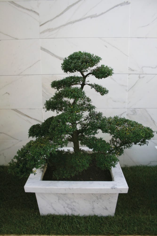 Мраморный плантатор FranchiUmbertoMarmi SUITEKI ARCH-00070511 - Вид №1