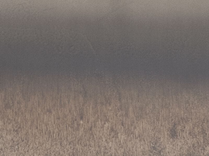 Стеклянная перегородка ARTE VENEZIANA Langhe ARCH-00061423 - Вид №2