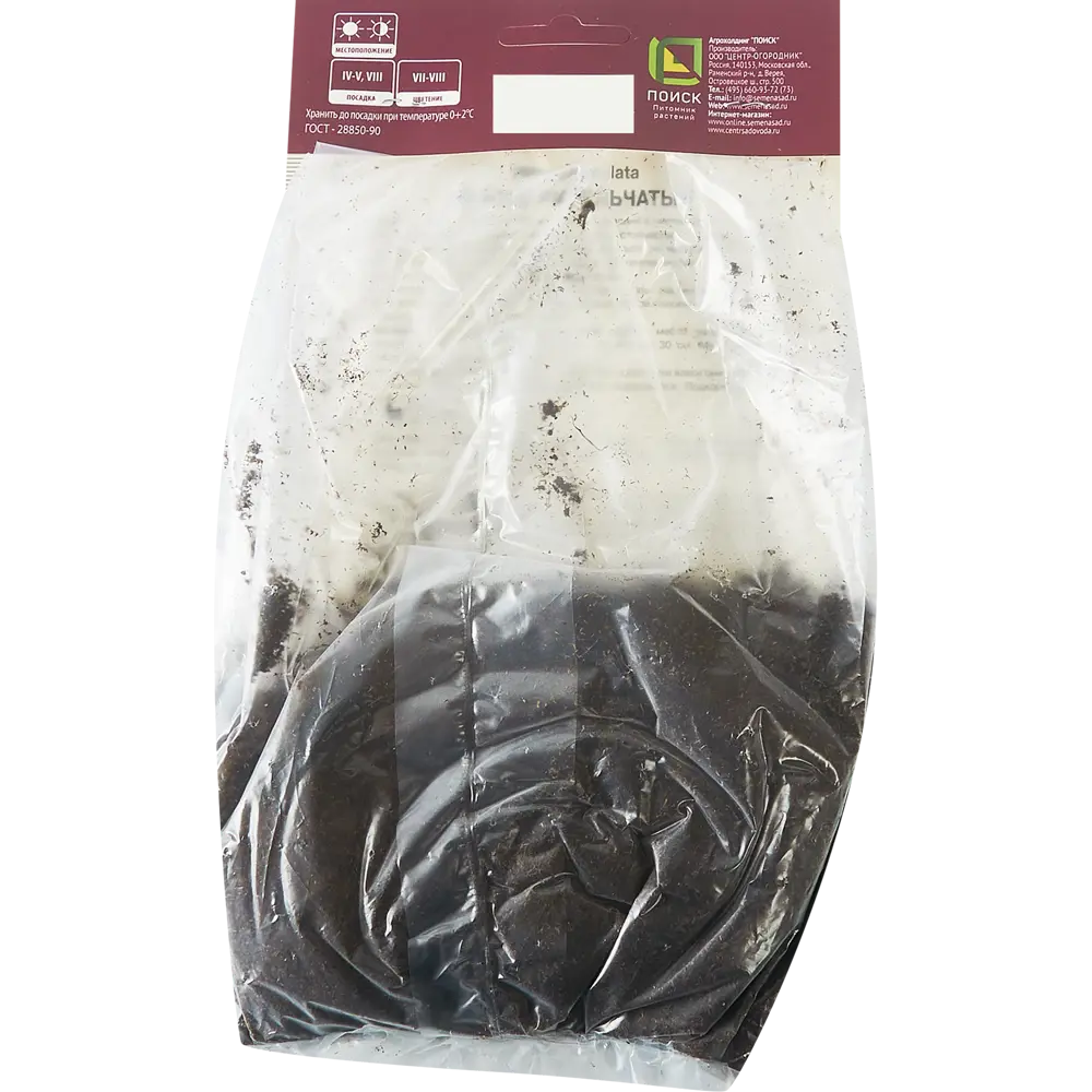 Флокс метельчатый Пёпл Айз от ПОИСК - изысканное цветущее растение 85205682 STLM-1575799 - Вид №1