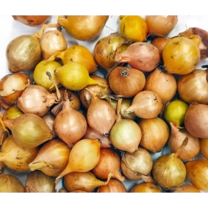 Лук севок Штуттгартер Ризен луковицы 0.25 кг