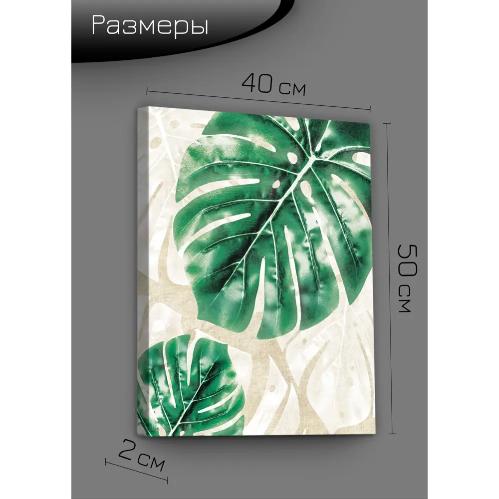 Картина на холсте Экзотические листья 2 40x50 см FBRUSH STLM-2033629 - Вид №7