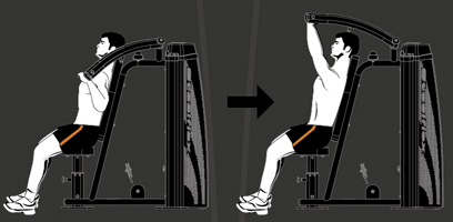 HSP800 Steel flex hope hsp800 жим от плеч Steel Flex Hope - Вид №1