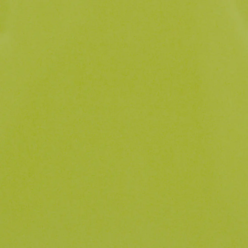 Дверь для шкафа Delinia «Васаби» 45x70 см, пластик, цвет зелёный STLM-2160158 - Вид №1